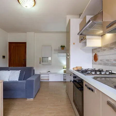 Dafne B1 - Myho Casa マルティンシクーロ